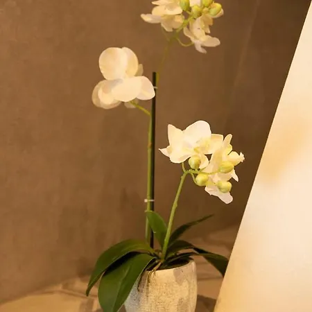 Beautiful Center In Near Medieval Castle Appartement