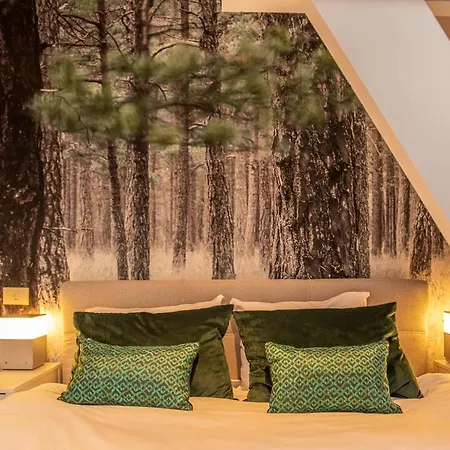 Beautiful Center In Near Medieval Castle *