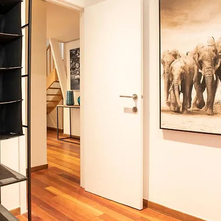 Beautiful Center In Near Medieval Castle *