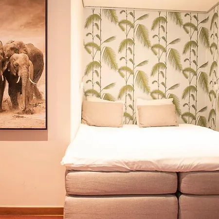 Beautiful Center In Near Medieval Castle *