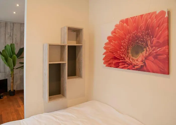 Beautiful Center In Near Medieval Castle *