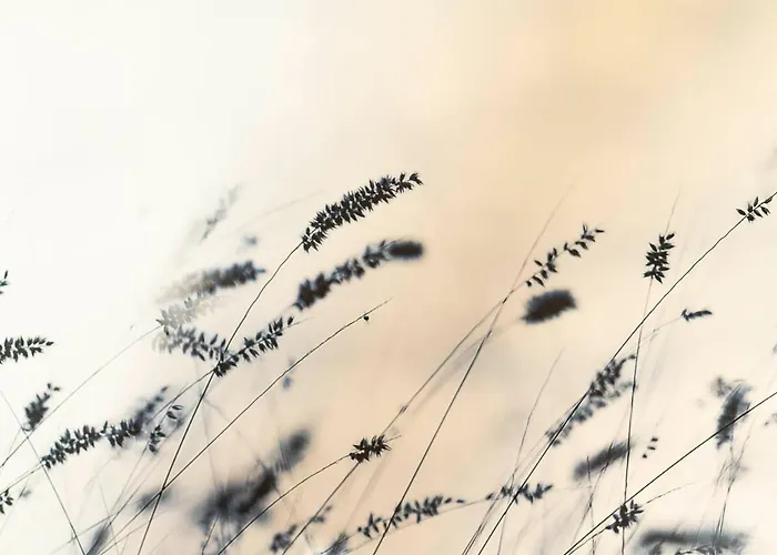 Apartmán Beautiful Center In Near Medieval Castle