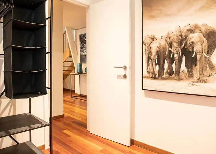 Beautiful Center In Near Medieval Castle *