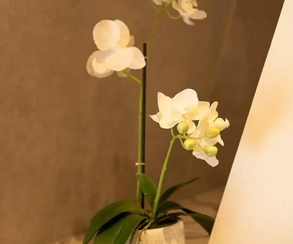 Beautiful Center In Near Medieval Castle Apartamento