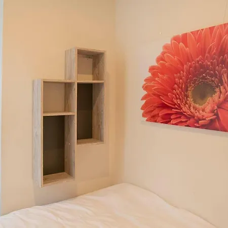 Beautiful Center In Near Medieval Castle *