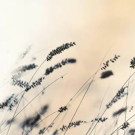 Appartamento Beautiful Center In Near Medieval Castle